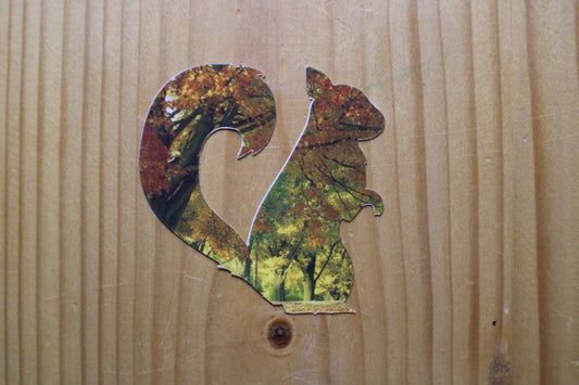 Fall Squirrel Sticker| Autumn Theme